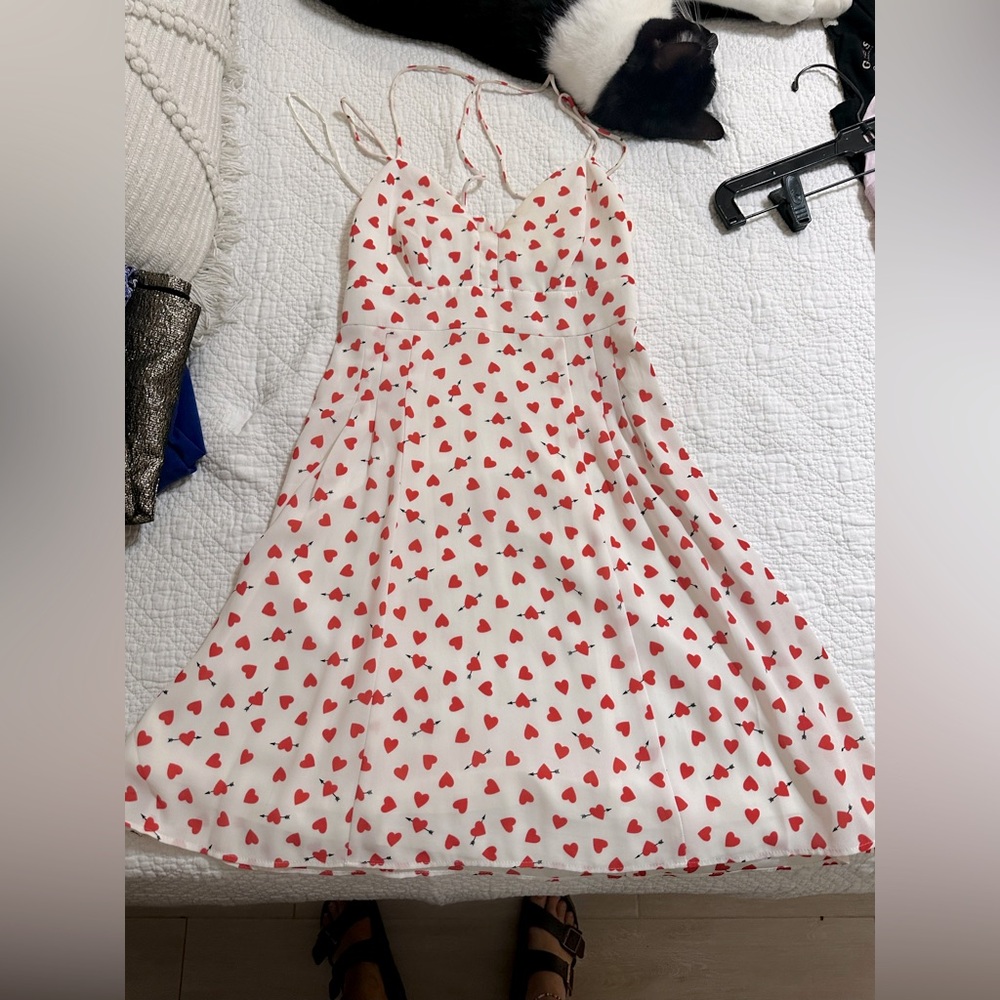 Dress from Express - Picture 2 of 6